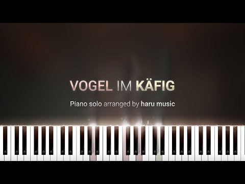 Vogel im Käfig | Synthesia Piano Tutorial