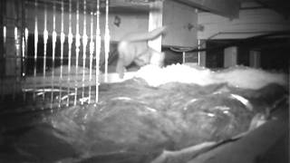 天井裏物音 Youtube