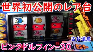 古台遺産】【ピンクドルフィン-30（状態Ver.）】【神田センター