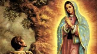 Vignette de la vidéo "MIS DOS MAMÁS | Vers. Estudiantina | 12 DE DICIEMBRE | Cantos Guadalupanos | Divina Misericordia TV"