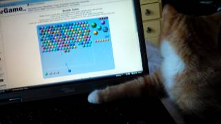 Percy catches a bubble