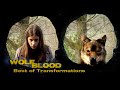 Best of Transformations 2.0 🐺❤ | Special | Wolfblood