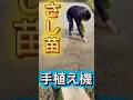 補植