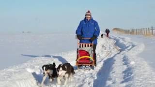 Mushing 101