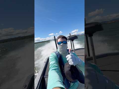That’s Not Lake Mead!!?? #fishing #lakemead #bassfishing #bassboat #tournamentfishing