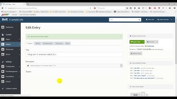 Stored XSS via text input, as demonstrated by the Title field of a New Entry.