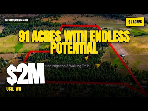 351 Skookum Creek Rd, Usk, WA home video tour