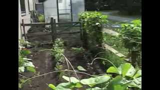 Princeton University Green Tour: Forbes Garden Project