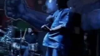 Watch Israel Vibration So Far Away video