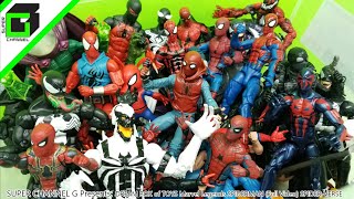 DREAM BOX of TOYS! Spiderman Universe MARVEL LEGENDS (Complete Video)