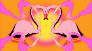 Flamingosis  Nebula Gazer (Visualizer)