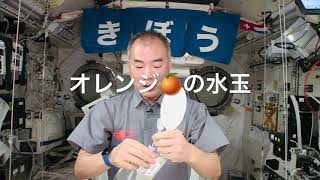 野口宇宙飛行士の宇宙暮らし　014: 水で遊ぼう！