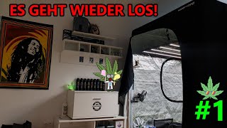 Der Anfang, wie alles beginnt Tag 0 bestes Hobby (Pflanzen Cannabis, Karotten, Chillis   #marshydro