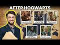 What Happens To EVERY Wizard After Hogwarts?