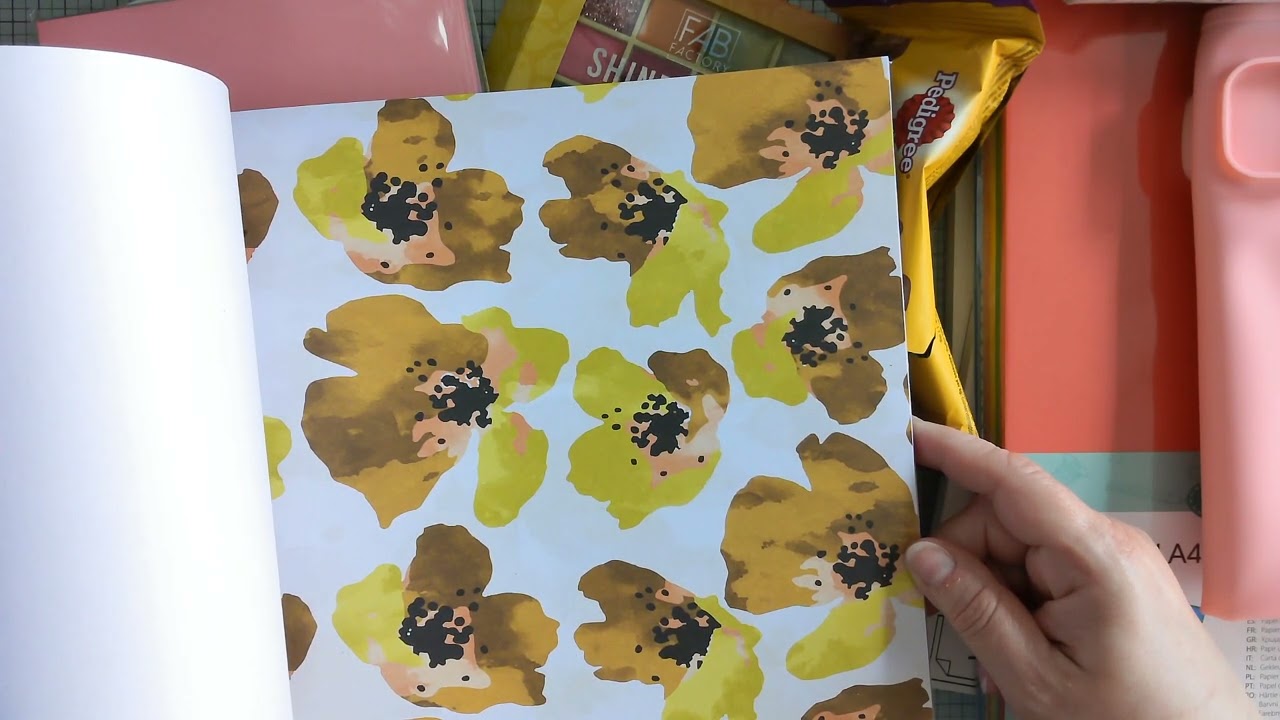 ❣️XXXL Action HAUL   ❣️