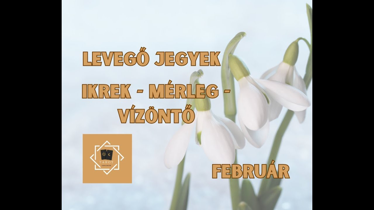 🌬️Levegő jegyek februári energiái (Ikrek ♊ Mérleg ♎ Vízöntő ♒)🔮✨