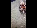       2026 05 09
