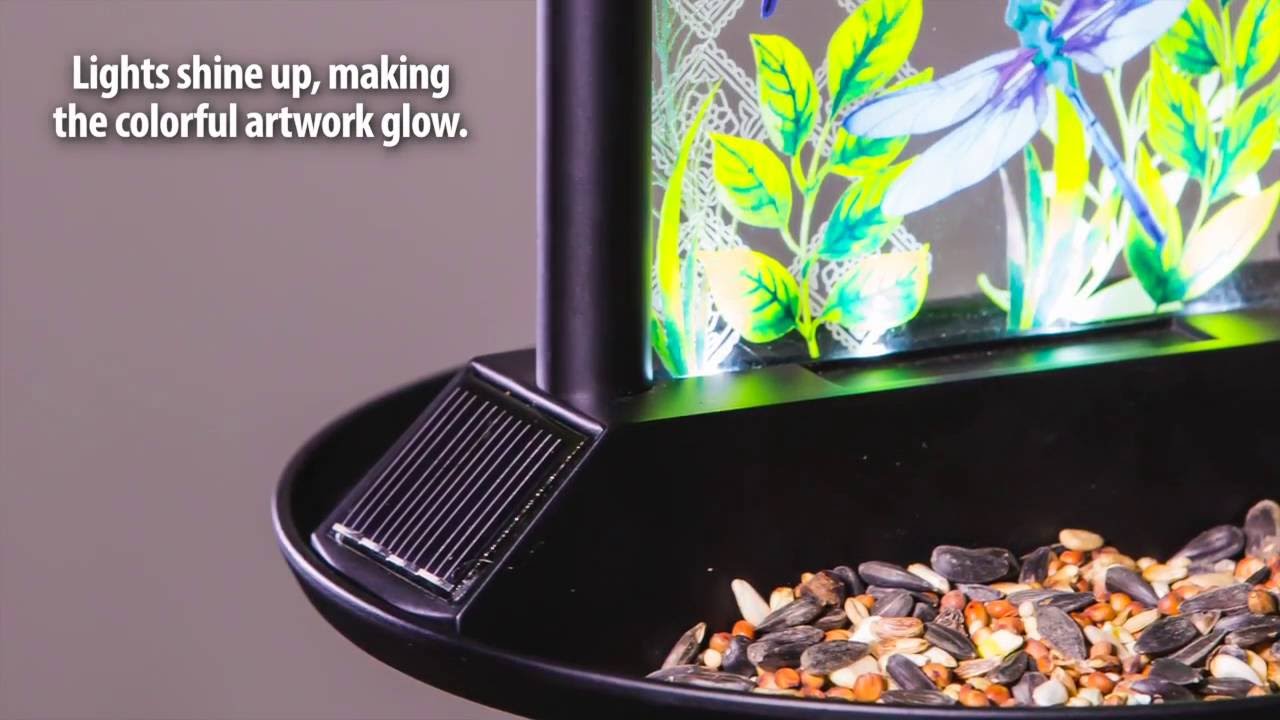 Double Sided Decal Bird Feeder With Solar Lights For Spring 2017