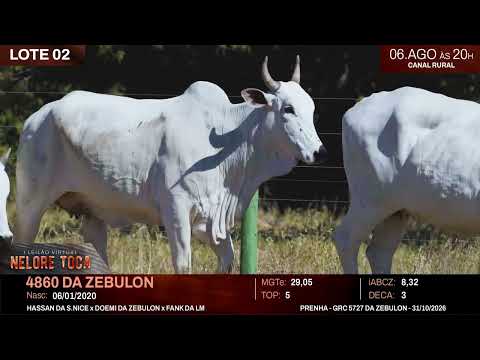 LOTE 02