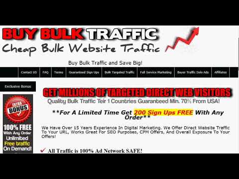 purchase web traffic