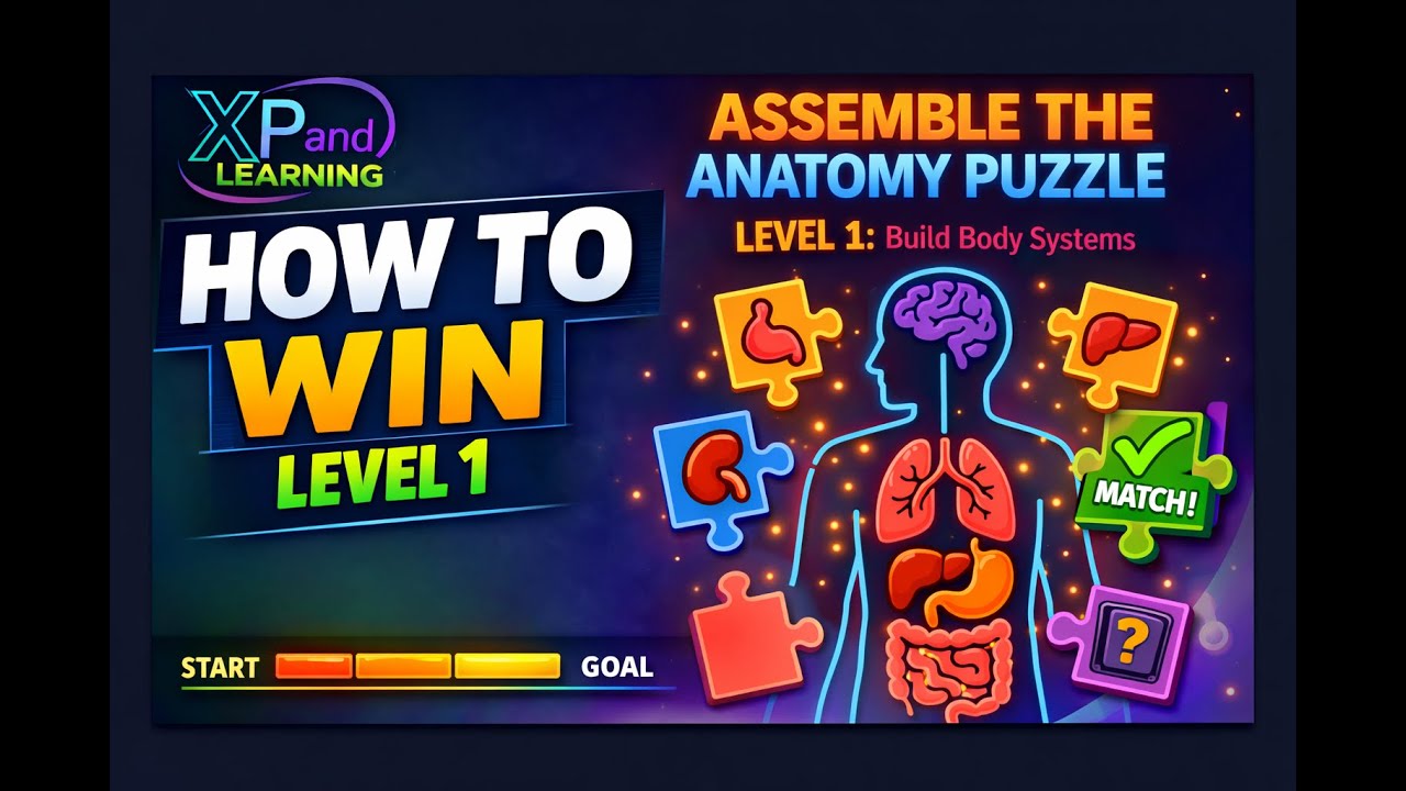 Anatomy Puzzle: Body Systems — Full Gameplay Walkthrough | Human Anatomy Game