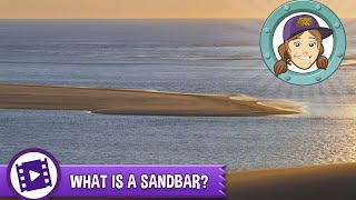 Animal Jam - Ask Tierney: What is a sandbar?