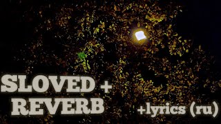 Plenka - Поздней Ночью Slowedreverb Lyrics