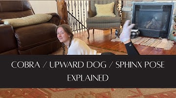 COBRA vs. UPWARD FACING DOG vs. SPHINX pose EXPLAINED