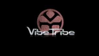 Vibe Tribe - No Limits chords