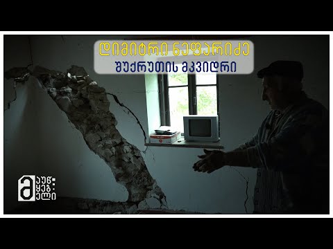 დიმიტრი ნეფარიძე - შუქრუთის მკვიდრი