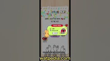 Brain Test Level 252  Where is the dog hiding