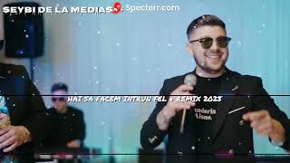 Seiby De La Medias & Hai Sa Facem intr-un  Fel & REMIX 2023