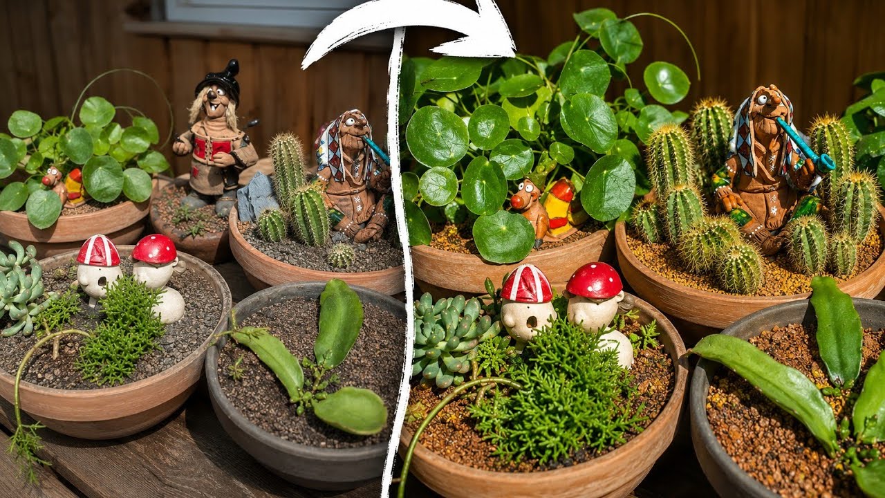 Krasser Unterschied zum Frühjahr, bepflanzte Colomi Deko Schalen