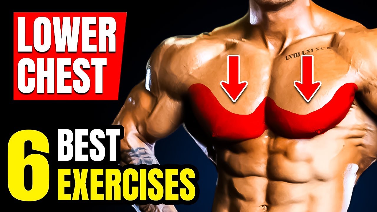 6 BEST EXERCISES LOWER CHEST WORKOUT🔥 YouTube