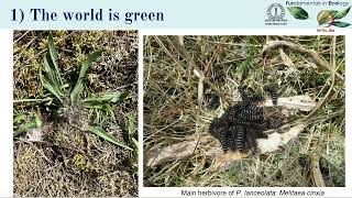 Lec 37 Food web case study