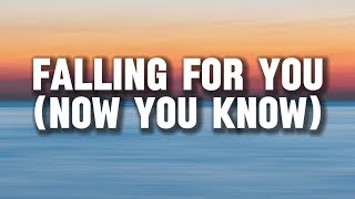 Falling For You Now You Know - Mvlog Official Lyrics Video