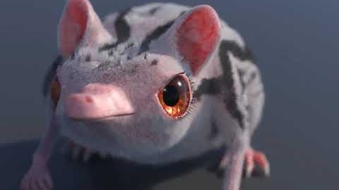 My short denoised animation test of my little creature with Arnold render
