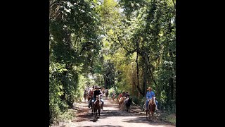 Diego Cóccia - Cavalgada De Aniversário 2022