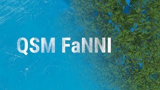 QSM FaNNI: Generating leaf covers
