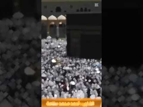 kaba dekha de moula