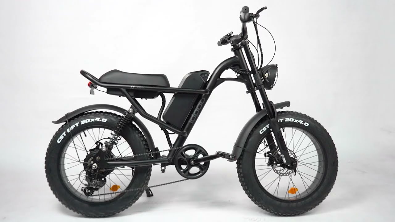 Sunpie 20 inch 48V 15 6A 500W Fat Tire Adults Electric Bike