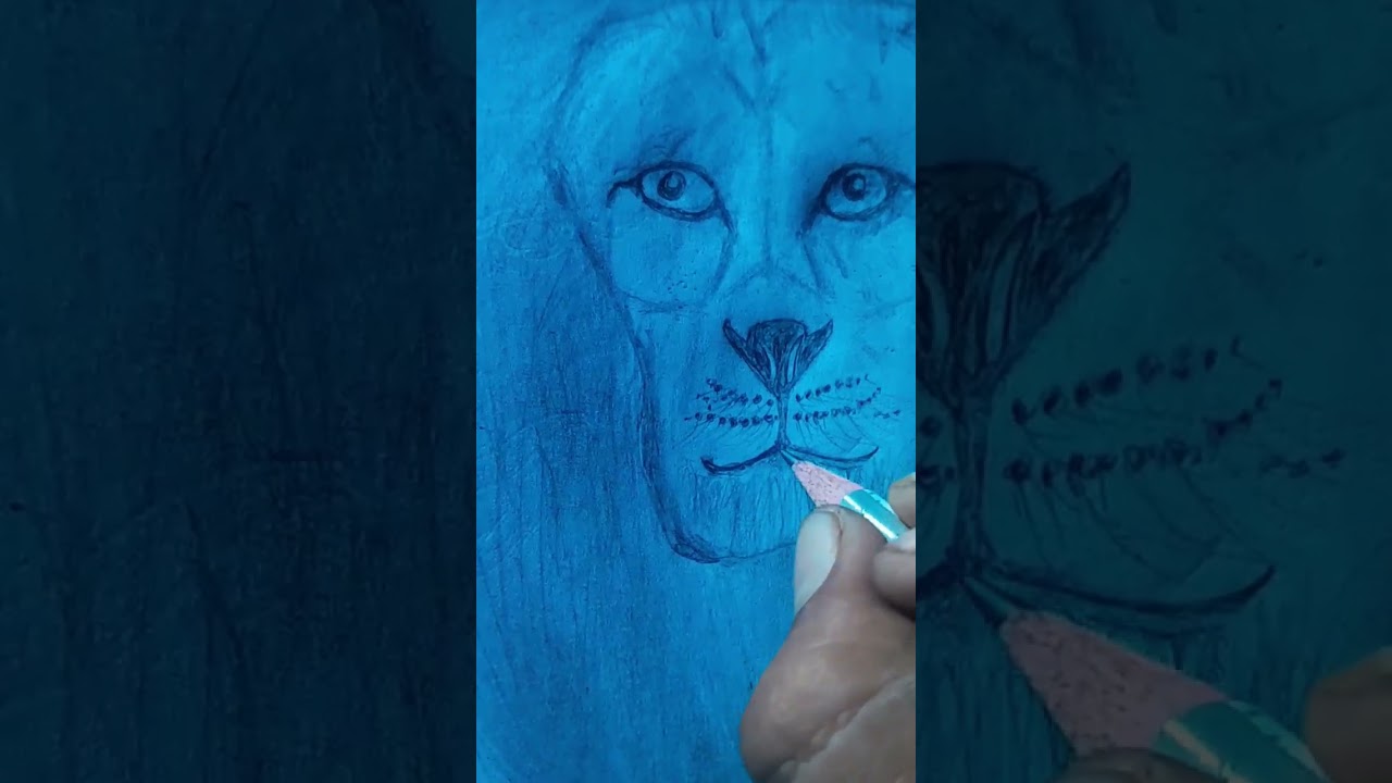 14 August 2025 Lion Panchal  eskac