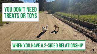 You can use your RELATIONSHIP instead of treats and toys