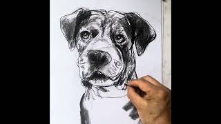  “Watch the full charcoal dog drawing process”
