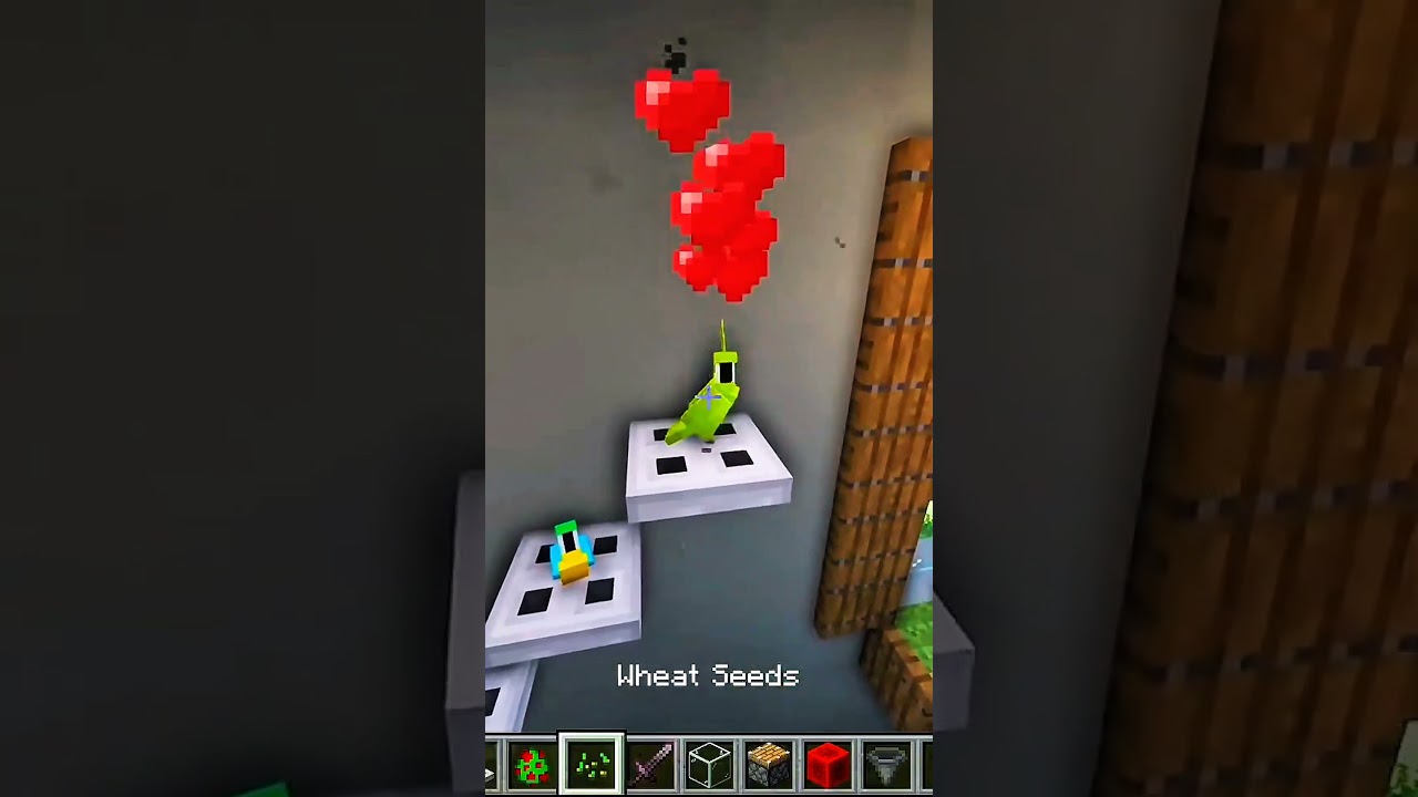 I Built a Pirate House in Minecraft🦜