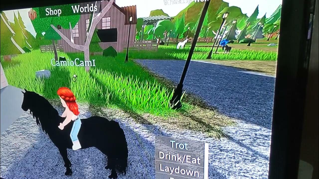 When It Wow (Roblox: Horse World):> : r/a:t5_2g6638