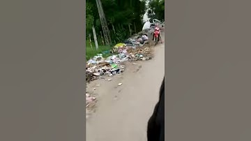 nạn vứt rác bừa bãi