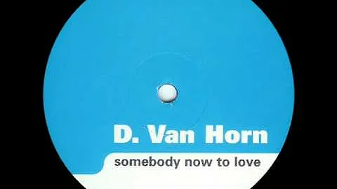 D. Van Horn - Somebody Now To Love (Original Mix)