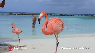 Las Islas Privadas de Aruba - Renaissance Island y De Palm Island