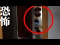 【poppy playtime】ボクシーブーを現実で捉えた恐怖映像を見よう!